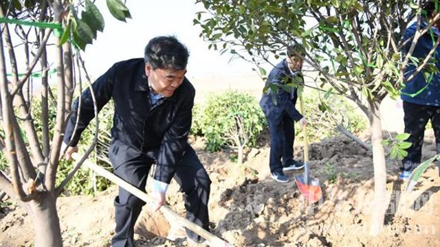 劉繼標等市四大班子領(lǐng)導參加義務(wù)植樹活動