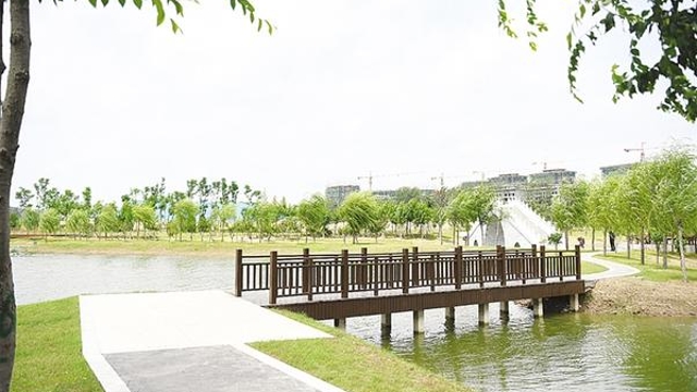 桃花堤濕地公園芳容初現